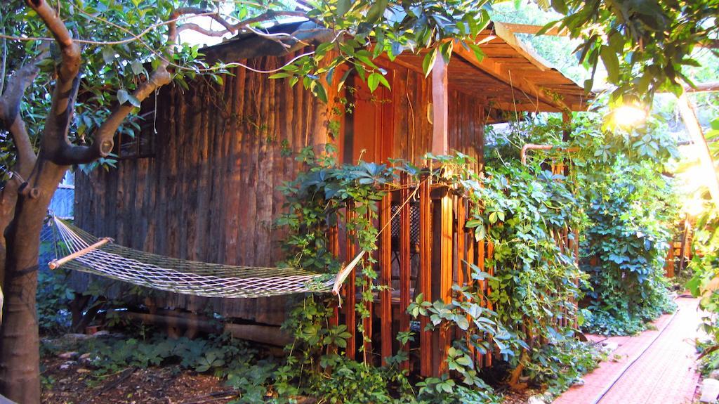 Olympos Natural Pansiyon Chambre photo