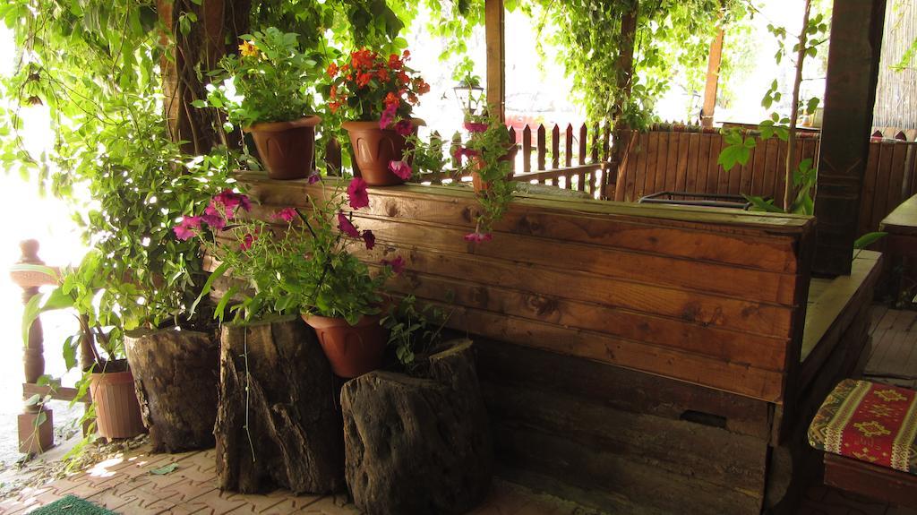 Olympos Natural Pansiyon Extérieur photo