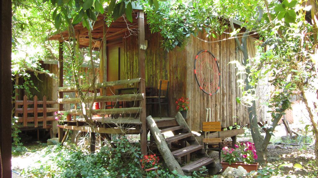 Olympos Natural Pansiyon Extérieur photo